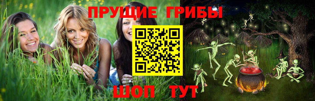 Королёв  Псилоцибиновые грибы прущие грибы  Вход с VPN  Псилоцибиновые грибы GOLDEN TEACHER 